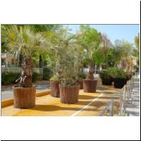 2022-04-29 Radweg+Begruenung Rue Hotel des Postes 02.jpg